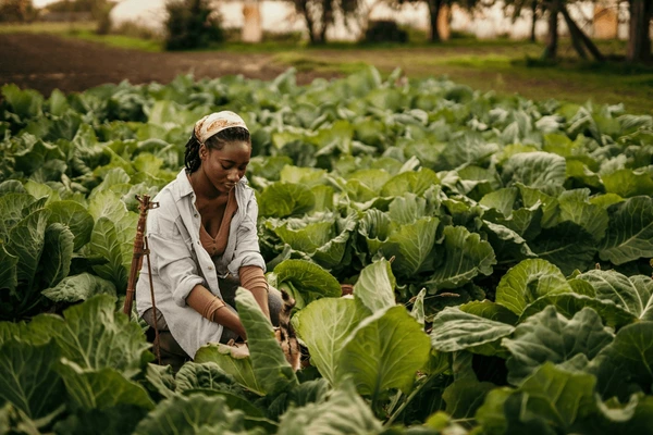 Smiling farmers in field