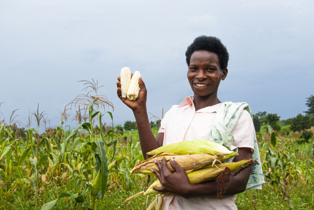Local Ugandan farmer smiling in field